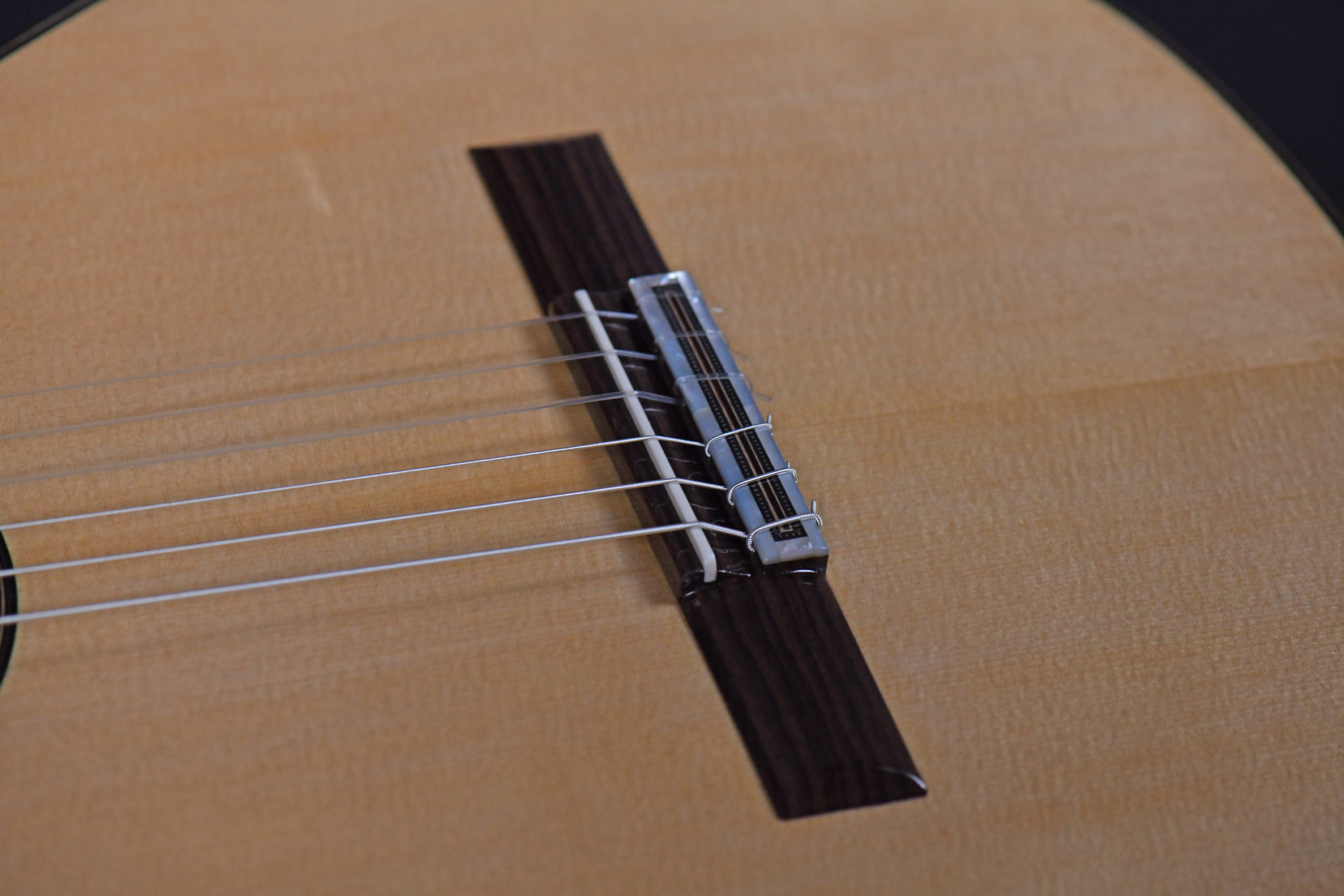 DSC_1927 - Roma Expo Guitars