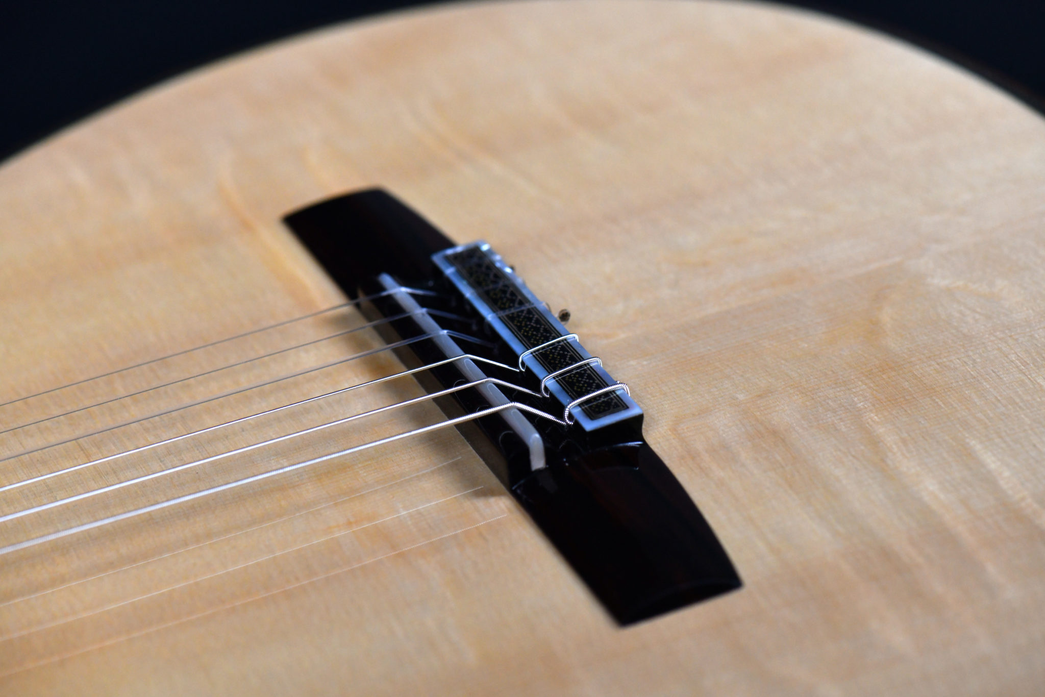 DSC_2199 - Roma Expo Guitars